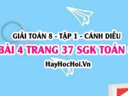 Giải bài 4 trang 37 Toán 8 Tập 1 SGK Cánh Diều